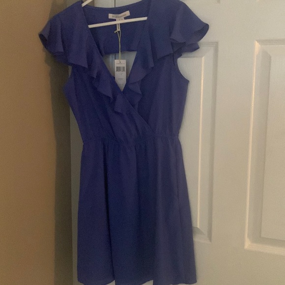 NWT BCBG dress, beautiful lilac color, light material, cutout in back - Picture 8 of 8